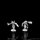 Wizkids Minis D&D 90002 Male Dragonborn Paladin