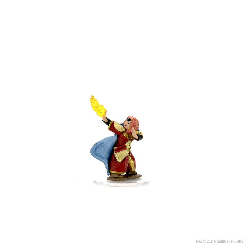 Wizkids D&D Miniature 93056 Dwarf Female Wizard