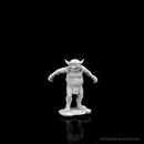 Wizkids Minis D&D 90167 Eidolon Possessed Statue