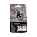 Wizkids D&D Miniature 93008 Elf Male Cleric Prepainted