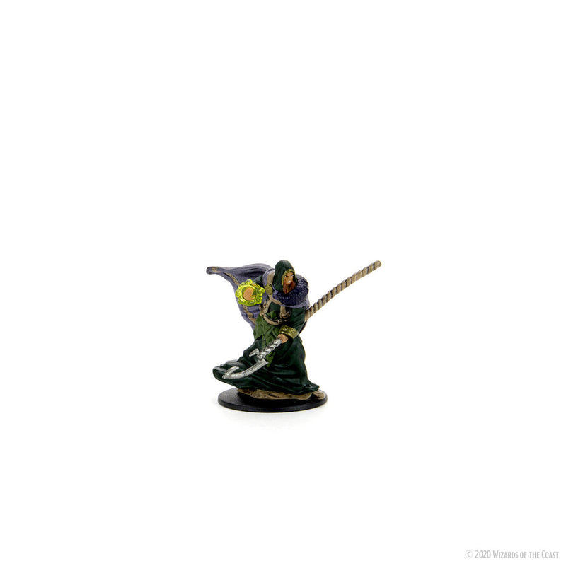 Wizkids D&D Miniature 93040 Elf Druid Male Prepainted