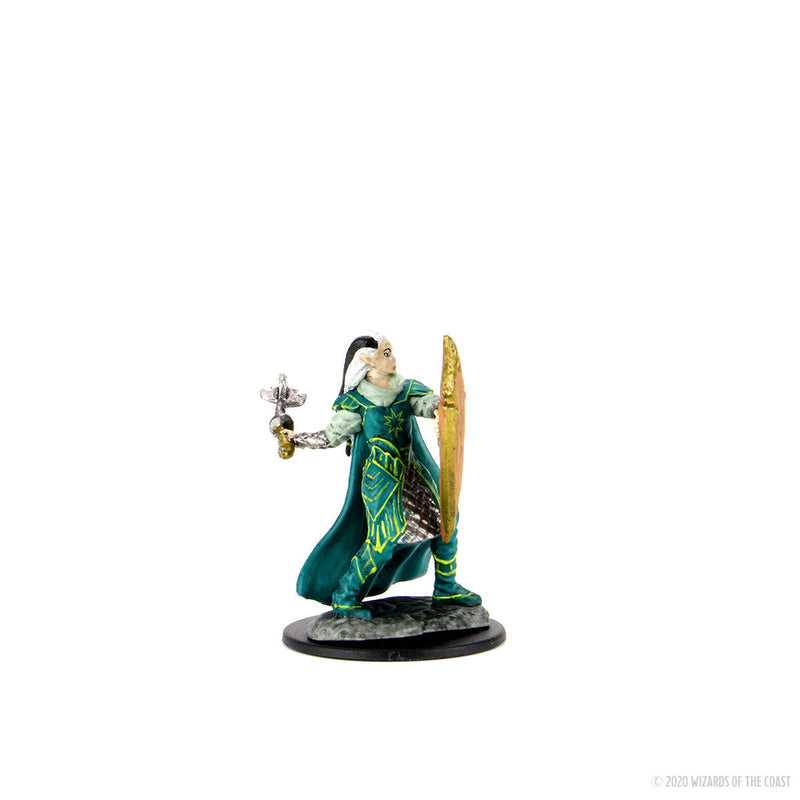 Wizkids D&D Minis 93025 Prepainted Elf Paladin Female