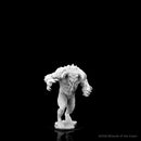 Wizkids Minis D&D 90166 Goristro