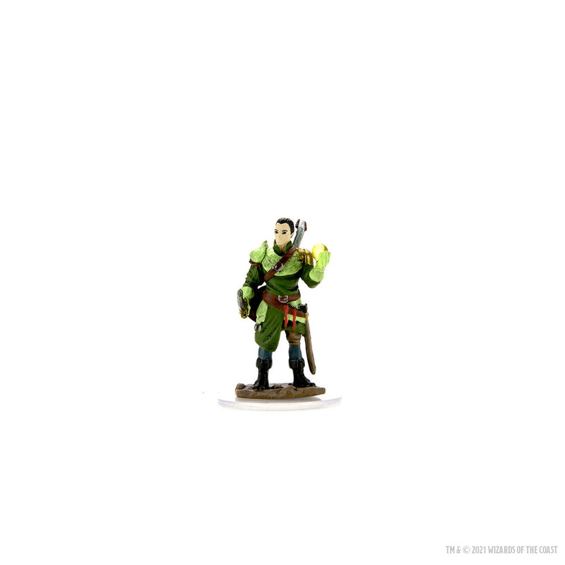 Wizkids D&D Miniature 93057 Half-Elf Male Bard