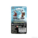 Wizkids Minis D&D 90230 Half-Elf Paladin Male