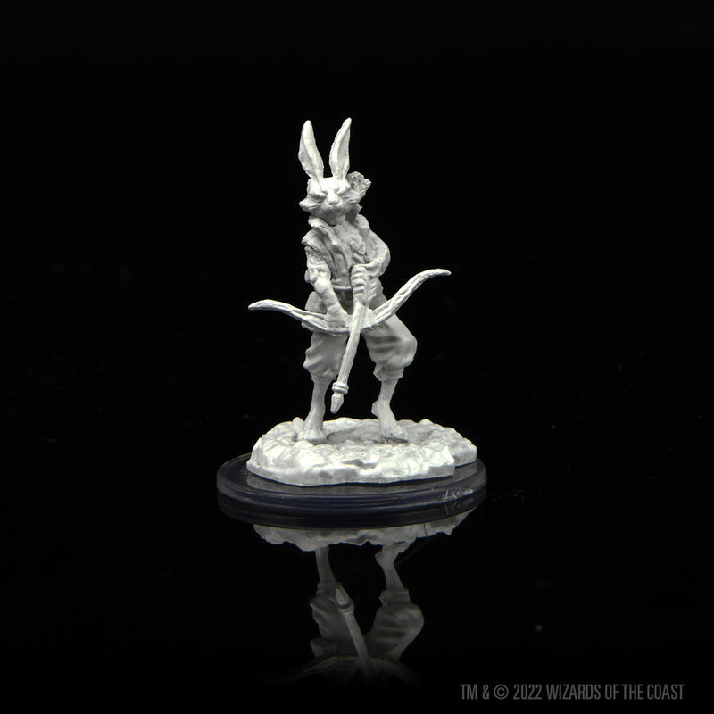 Wizkids Minis D&D 90460 Paint Night Kit: Harengon