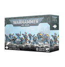 GW Warhammer 40K Space Wolves Grey Hunters