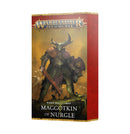 *Pre-Order* GW Age of Sigmar Maggotkin of Nurgle Warscroll Cards *Releases Saturday, January 17th*