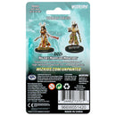 Wizkids Minis D&D 73701 Female Human Druid