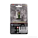Wizkids D&D Miniature 93009 Female Human Druid Prepainted