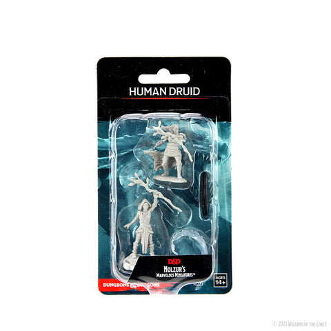 Wizkids Minis D&D 90223 Human Druid Female