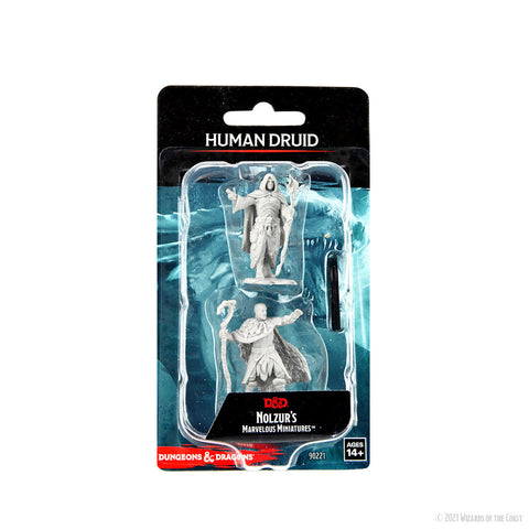 Wizkids Minis D&D 90221 Human Druid Male