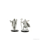 Wizkids Minis D&D 90221 Human Druid Male