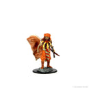 Wizkids D&D Minis 93031 Prepainted Human Druid Male