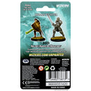 Wizkids Minis D&D 73673 Male Human Fighter