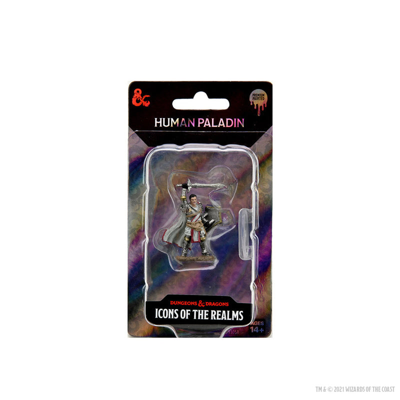 Wizkids D&D Miniature 93058 Human Male Paladin Prepainted