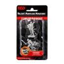 Wizkids Minis D&D 90009 Male Human Ranger