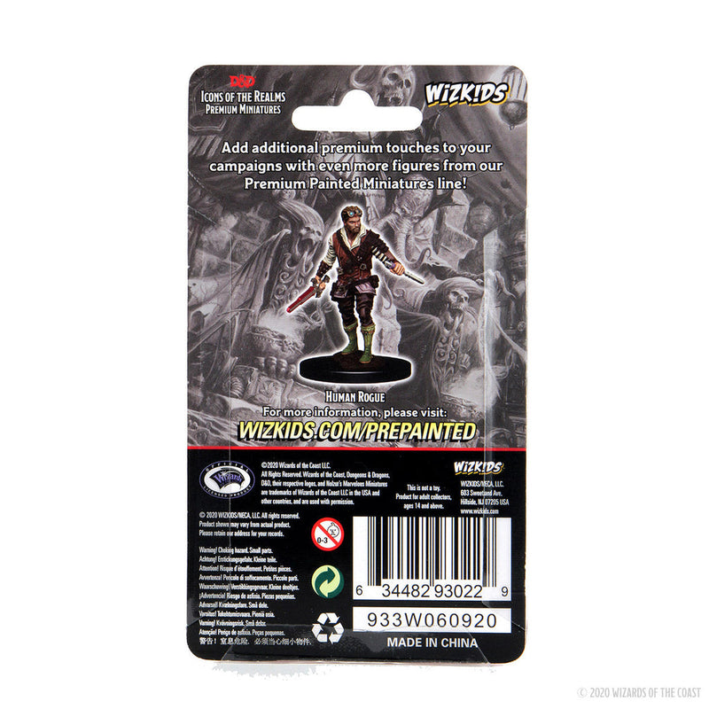 Wizkids D&D Minis 93022 Prepainted Human Rogue Male