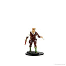 Wizkids D&D Minis 93022 Prepainted Human Rogue Male