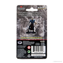 Wizkids D&D Minis 93024 Prepainted Human Warlock Male