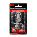 Wizkids Minis D&D 90011 Male Human Wizard