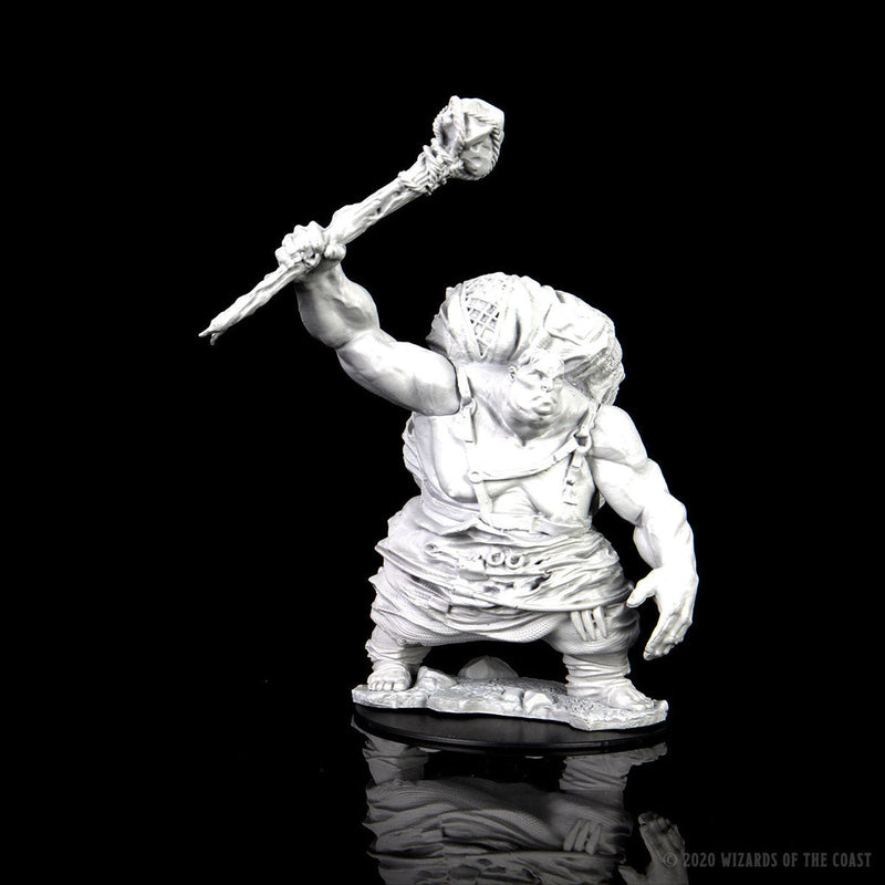 Wizkids Minis D&D 73679 Hill Giant