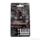 Wizkids D&D Miniature 93015 Male Dragonborn Fighter Prepainted