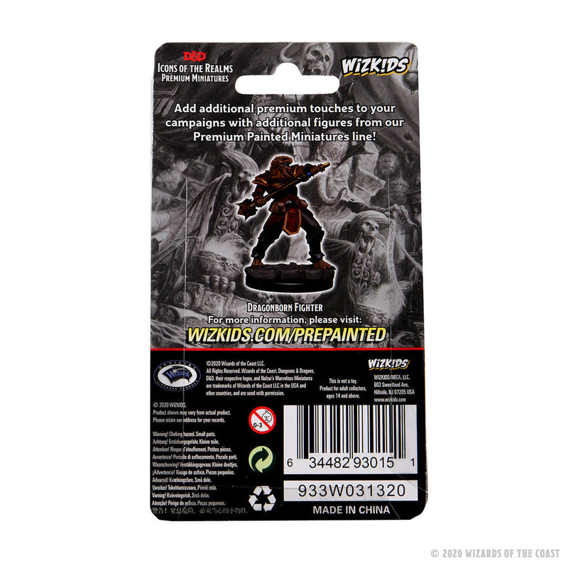 Wizkids D&D Miniature 93015 Male Dragonborn Fighter Prepainted