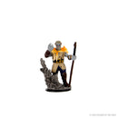 Wizkids D&D Miniature 93013 Male Firbolg Druid Prepainted