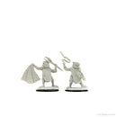 Wizkids Minis D&D 90246 Kuo-Toa & Kuo-Toa Whip