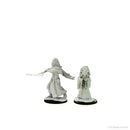 Wizkids Minis D&D 90239 Night Hag & Dusk Hag