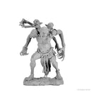 Wizkids Minis D&D 90291 Paint Night Kit: Dire Troll