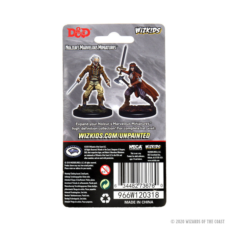 Wizkids Minis D&D 73676 Vampire Hunters