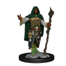 Wizkids Minis D&D 90221 Human Druid Male
