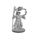 Wizkids Minis D&D 90606 Gargantuan Bahamut Figure Unpainted