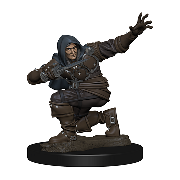 Wizkids Pathfinder Minis 77500 Male Human Rogue Prepainted