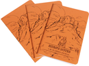 Dungeon Notes Hero's journals 3 Pack Orange