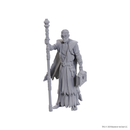 Wizkids Minis D&D Baldur's Gate 96372 Volo & Withers