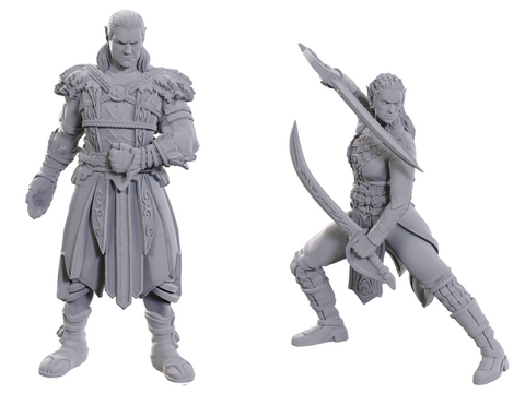 Wizkids Minis D&D Baldur's Gate 96368 Jaheira & Halsin