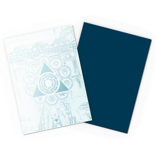 Dragon Shield Sleeves: Dual Matte MTG Guidpact - Azorious Senate