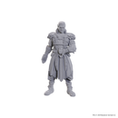 Wizkids Minis D&D Baldur's Gate 96368 Jaheira & Halsin