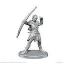 Wizkids Minis Pathfinder 97582 Elf Hunter & Catfolk Bandit