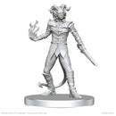 Wizkids Minis Pathfinder 90840 Vordine (Infantry Devil) & Pitborn Rogue