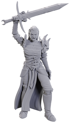 Wizkids Minis 90772 Blackguard