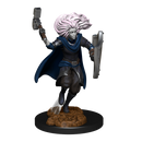 Wizkids Minis D&D 90237 Changeling Cleric Male