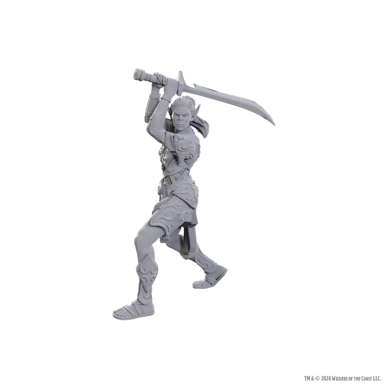 Wizkids Minis D&D Baldur's Gate 96365 Lae'zel & Shadowheart
