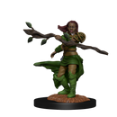 Wizkids Minis D&D 90223 Human Druid Female