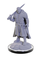 Wizkids Minis D&D 90674 Loup Garou