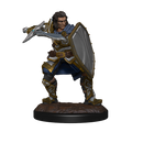 Wizkids Minis D&D 90220 Human Paladin Male