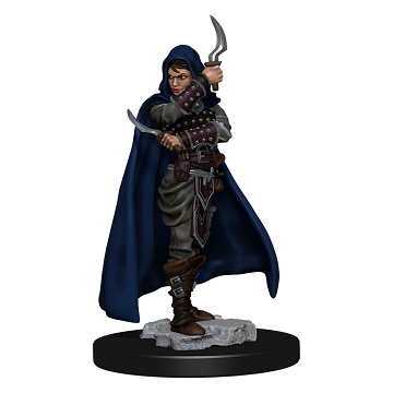 Wizkids Pathfinder Minis 77501 Female Human Rogue Prepainted